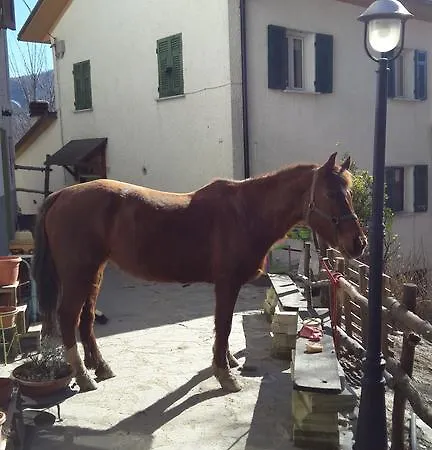 Drago Bianco Landsted